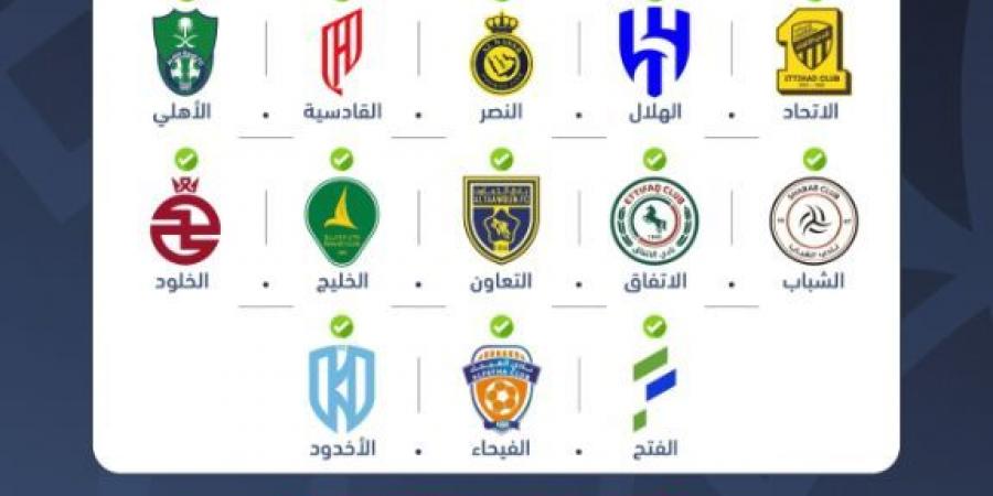 لجنة التراخيص تمنح الرخصة المحلية والآسيوية لـ 13 ناديا للموسم الرياضي 2025- 2026 - تكنو بلس