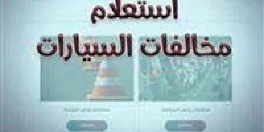 مجانًا.. طريقة الاستعلام عن مخالفات المرور برقم السيارة 2025 وسدادها إلكترونيًا - تكنو بلس