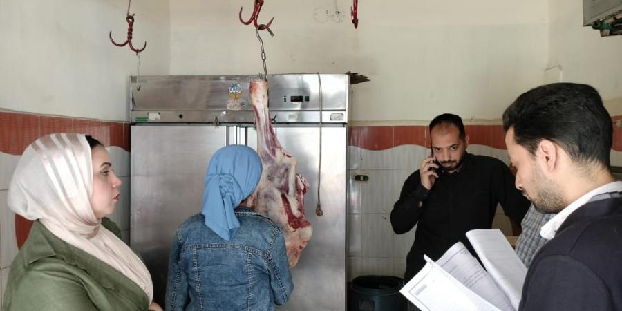  ضبط  أسماك ولحوم مجهولة المصدر بمراكز كفر الشيخ  - تكنو بلس
