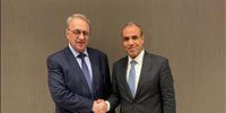 وزير الخارجية والهجرة يلتقي نائب وزير الخارجية الروسي - تكنو بلس