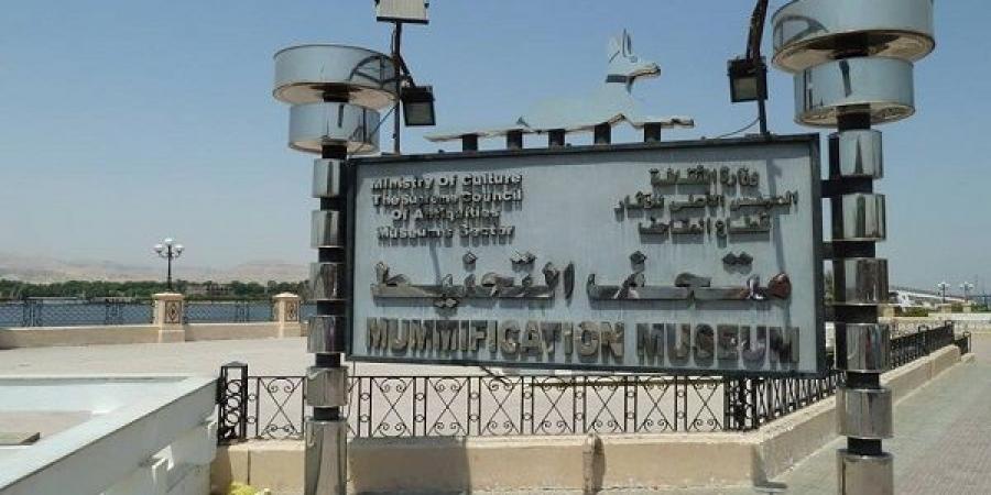 متحف الأقصر بالمجان فى اليوم العالمى للمتاحف - تكنو بلس
