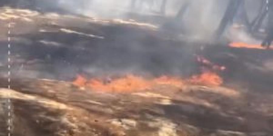 بالفيديو .. حريق يلتهم أحراش سحم .. ورئيس بلدية الشعلة يستنجد بالأهالي لإخماده - تكنو بلس