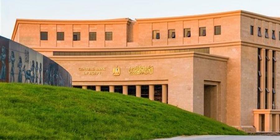 بعد قرار البنك المركزي الأخير.. ما هو حد السحب من إنستاباي؟ - تكنو بلس