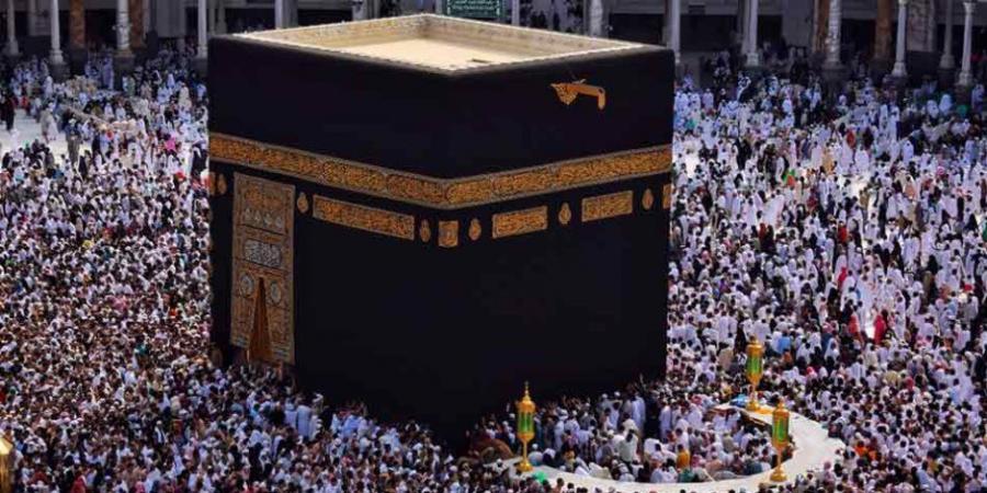 مسئول البعثة الطبية المصرية بالمدينة المنورة : 3 عيادات لخدمة الحجاج المصريين - تكنو بلس