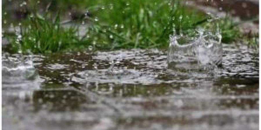 الأرصاد: الموسم المطري ضعيف والأغوار الجنوبية الأفضل أداءً بنسبة 79% - تكنو بلس