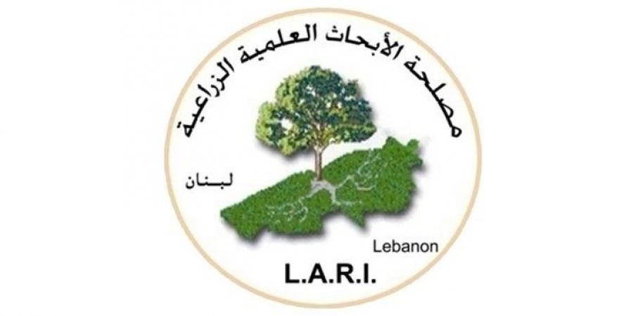 مصلحة الأبحاث العملية الزراعية: لا صحة لما يتداول عن موجة حر وغبار مقبلة لم يشهد لبنان مثلها - تكنو بلس