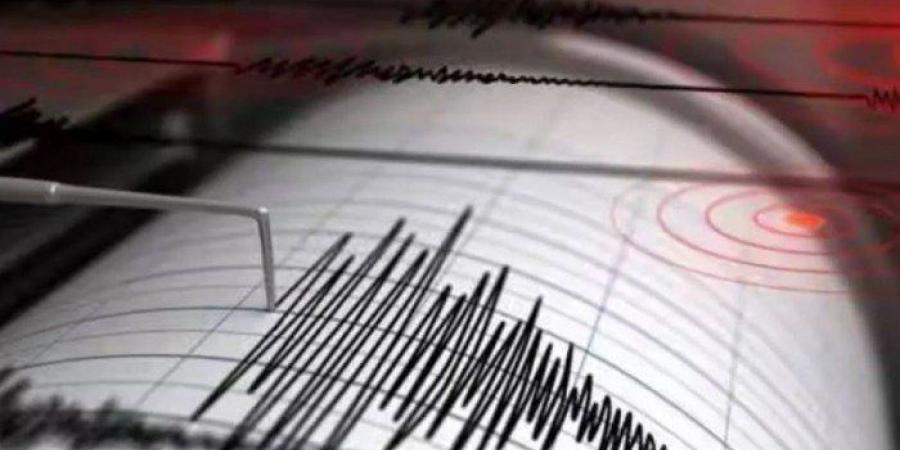 بقوة 6.6 درجات.. زلزال يضرب قبالة سواحل بابوا غينيا الجديدة - تكنو بلس