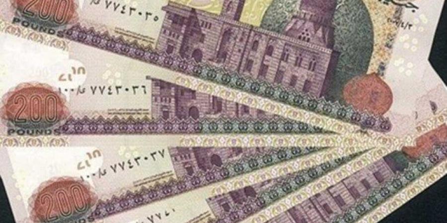 وصلت لـ 1500 جنيه.. خطوات ورابط الاستعلام عن منحة العمالة غير المنتظمة 2025 - تكنو بلس