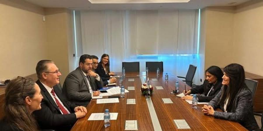 المشاط تؤكد أهمية هيكلة النظام المالي العالمي  - تكنو بلس