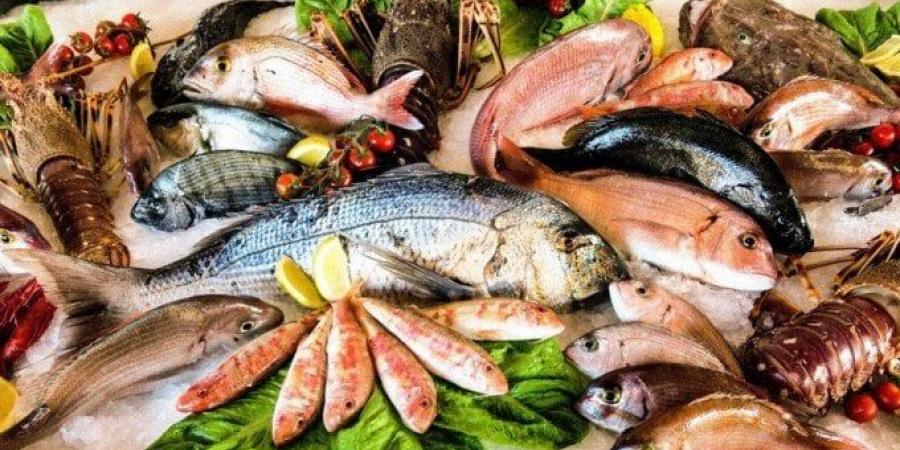 أسعار الأسماك اليوم الخميس 22 مايو 2025 - تكنو بلس