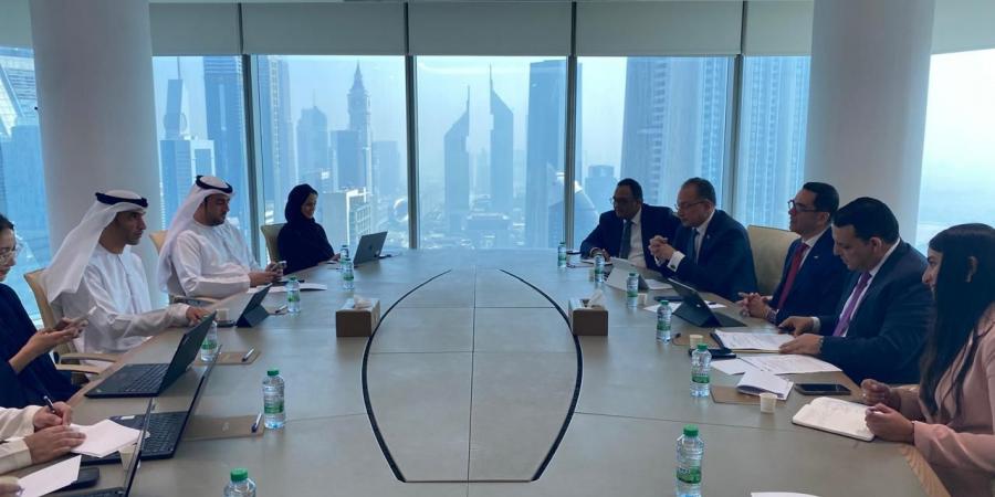 مصر والإمارات تبحثان تطورات المفاوضات الخاصة باتفاق الشراكة الاستراتيجية بين البلدين - تكنو بلس