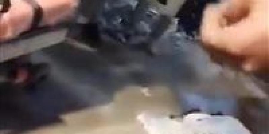 سقوط فتاة من الدور السابع بالإسماعيلية.. ووفاتها في المستشفى - تكنو بلس