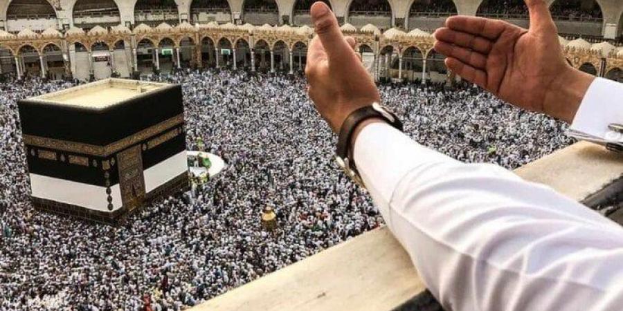 استمرار عمليات التفويج.. 3075 حاجًا يصلون إلى «المدينة ومكة» - تكنو بلس