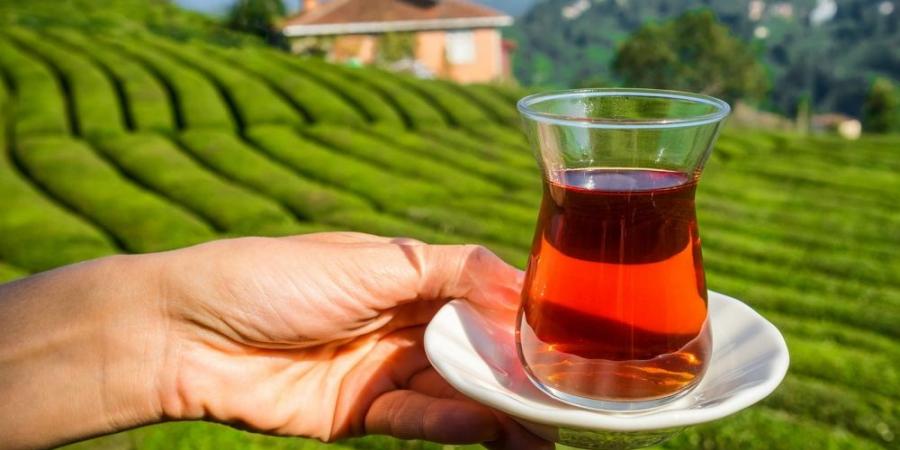 يومه العالمي.. "الشاي" رمز الكرم والضيافة في المجتمعات العربية - تكنو بلس