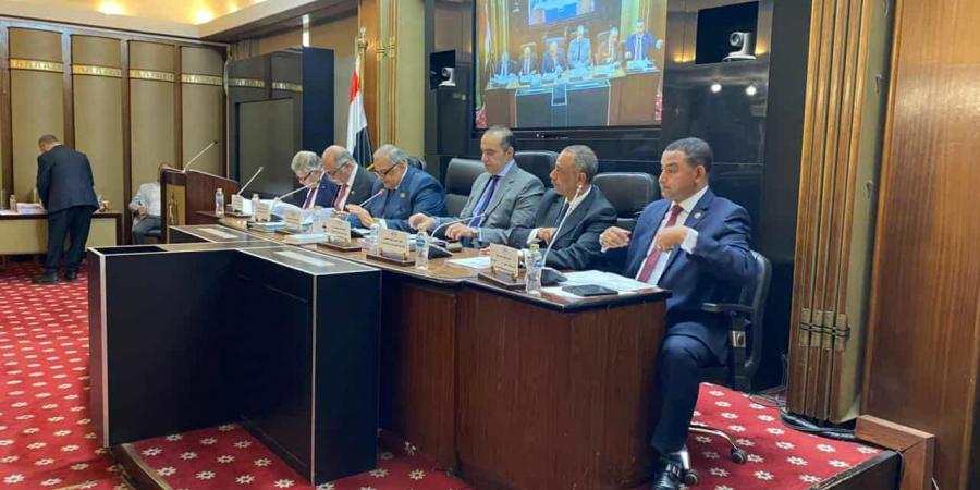 الوزير محمود فوزي: الحكومة تعلن موافقتها على مشروع قانون انتخابات مجلس النواب - تكنو بلس