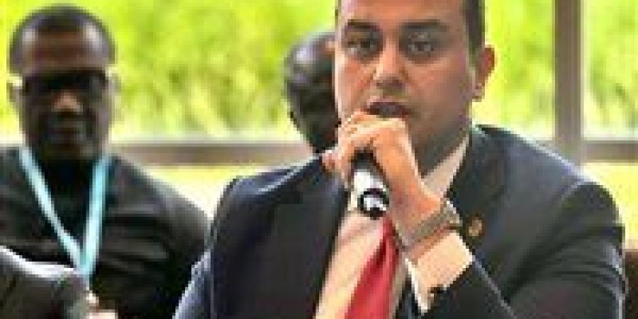 رئيس هيئة الرعاية الصحية يلتقى وزير الصحة بغانا ويبحثا تبادل الخبرات - تكنو بلس