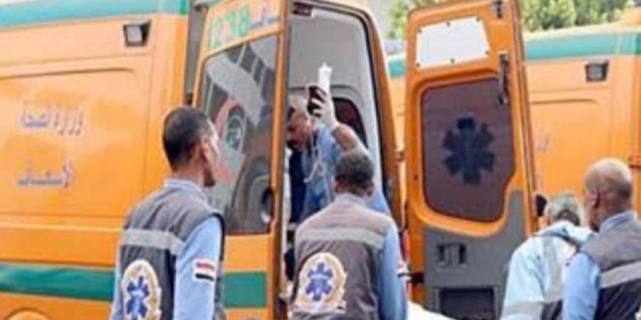 مصرع وإصابة 13 في حادث انقلاب سيارة ميكروباص بملوي - تكنو بلس