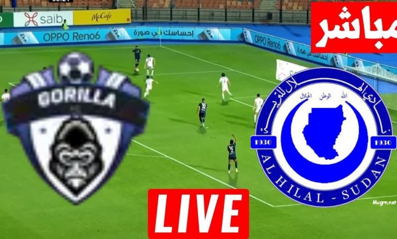 مشاهدة مباراة الهلال وغوريلا